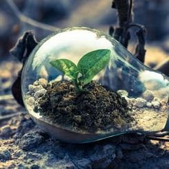 For the betterment of the Earth, together. #ClimateChange | Amplifying and sharing voices for change #ESG