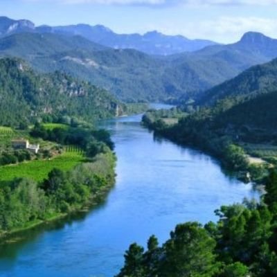 alejandra_dez3's profile picture. Enfermera