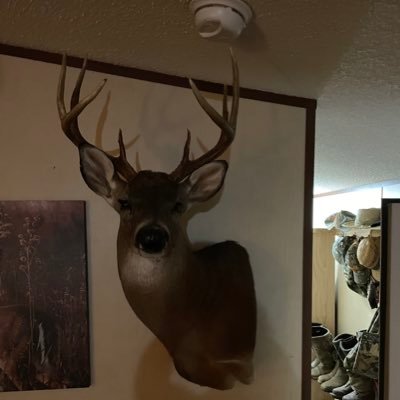 jmeaux2021's profile picture. Retired and enjoying life!  Smile