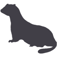 Marmot Labs (@marmotlabs) 's Twitter Profile