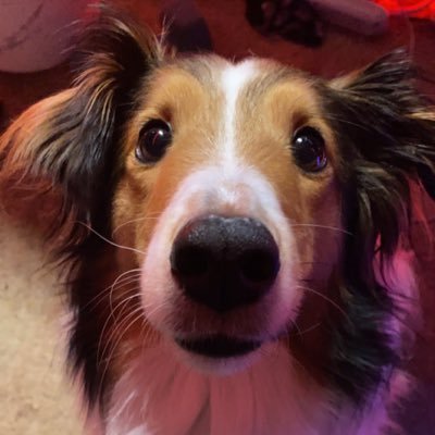 rini_ruu's profile picture. 