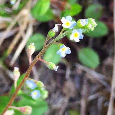 SeungminShin6's profile picture. I like Museum studies!