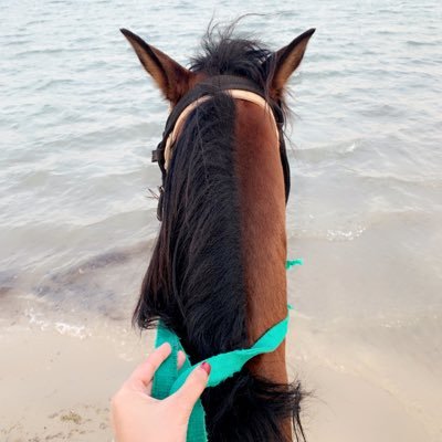 SumayaAlqarni's profile picture. إني لله وإني اليه راجعه .