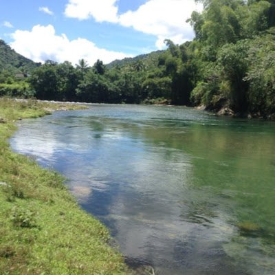 SBabakobau's profile picture. 