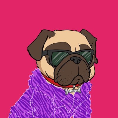 COL_ShakArmy's profile picture. #SHAK will hit $1.00+ 🚀 🚀 🚀 Join the Telegram Community: https://t.co/yxZsINHuoA   #SHAKARMY