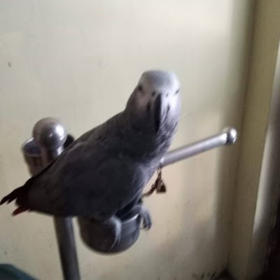 huangshengen5's profile picture. 