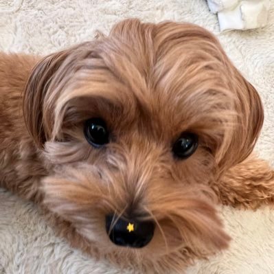 h5SueOR0EspOP1U's profile picture. マクラーレン好き