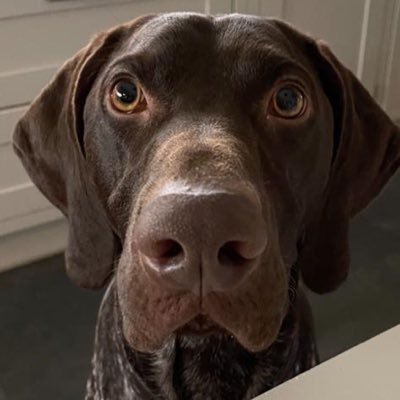 GlacklnAnn's profile picture. I’m an infinite being living this decidedly non-infinite life with love and connectedness