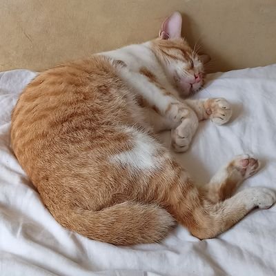 lessonplan02's profile picture. more than meets the eye