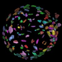 Microscopía IMIBIC (@microimibic) 's Twitter Profile