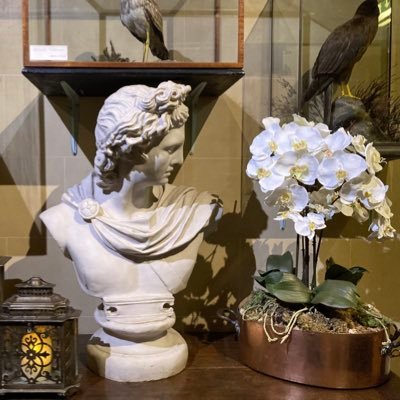 willowillowa's profile picture. 