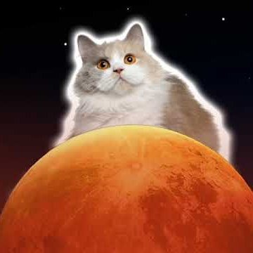 CatsonMars11's profile picture. 