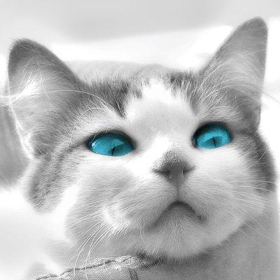 지화さんのプロフィール画像