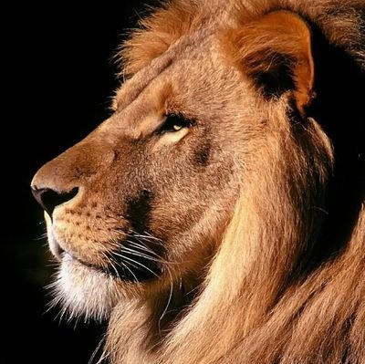 IlyaSadov84's profile picture. 