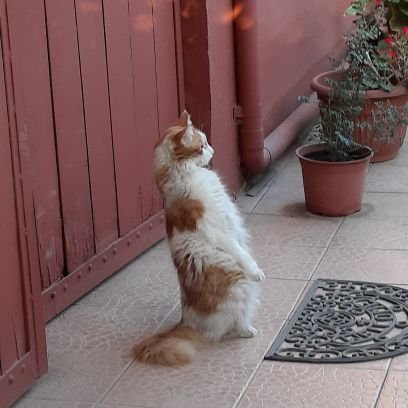 regina_isi's profile picture. ∞⚖