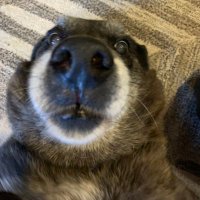 Jacek Pratt (@jacekpratt) 's Twitter Profile