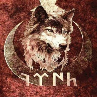 Cargane4Cargane's profile picture. 🇹🇷