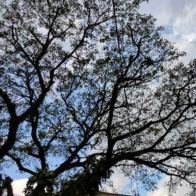 WmodelN's profile picture. No