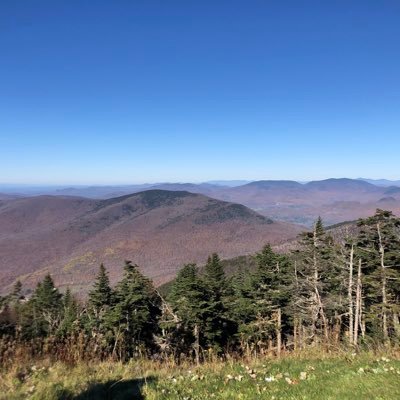 ringdingsrule's profile picture. Left Leaning, Kindness Matters,Laughter as important as oxygen. I’m a Wokester!