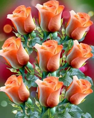 Yusoof95345135's profile picture. 19