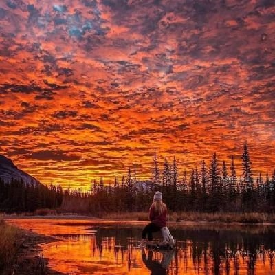 Diana38345379's profile picture. If you fail, never give up