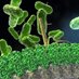 Molecular Microbiology Sheffield (@mm_sheffield) Twitter profile photo Molecular Microbiology Sheffield (@mm_sheffield) Twitter profile photo