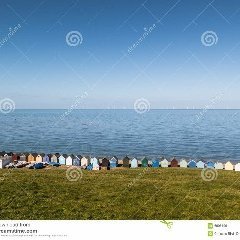 tegwink's profile picture. I love videogames,art,animals and food Addicted to sims, books and tea