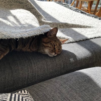 Jayrai10Jose's profile picture. i follow smart people on here but my other account really says who i truly am