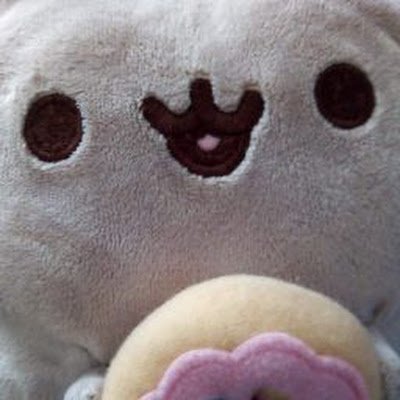 Mofly70's profile picture. 