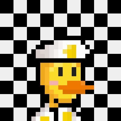 Duck Patrol 🦆