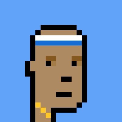 cayir_cem's profile picture. Prime ape planet - CryptoSkulls - V3 Punks