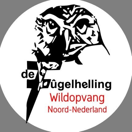 Vogelasiel de Fûgelhelling is het opvangcentrum in het Noord-Nederland.  Ons centrum biedt  hulp aan inheemse vogels en zoogdieren.