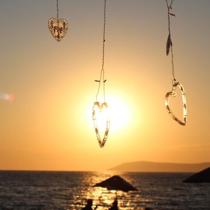 toktas455's profile picture. 