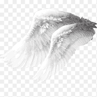 🕊🦋⛓ (@freemoment401) 's Twitter Profile Photo 🕊🦋⛓ (@freemoment401) 's Twitter Profile Photo