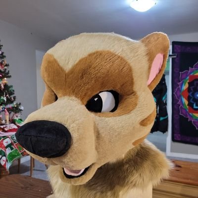 SmashMeerkat's profile picture. The Destructive Meerkat Dude