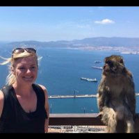 Kelly Ruddy (@karuddy) 's Twitter Profile