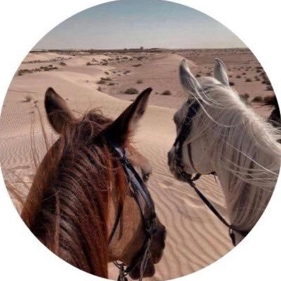 slimalrogi's profile picture. hail🤍