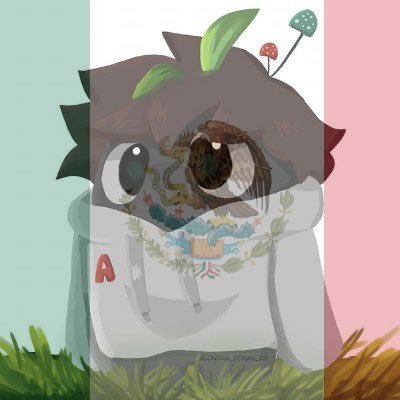 subo mamadas a Youtube y hago directos por Twitch. 19 años. Contacto: AQUINOby2002@gmail.com