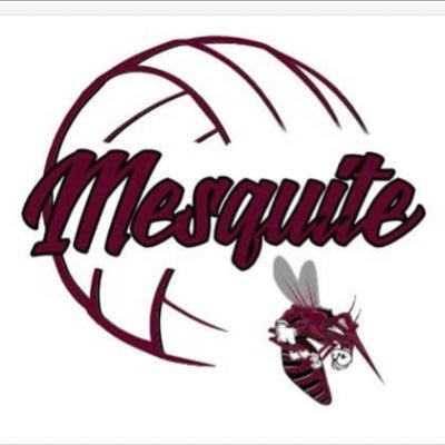 Official page of @MesquiteHS Volleyball🏐 We Empower. We Impact. We Love. We are #SKEETERNATION