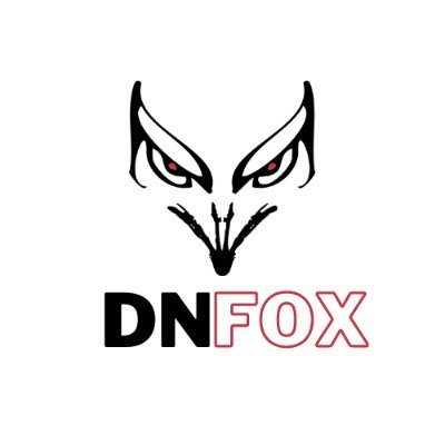 DNfox_ Profile Picture