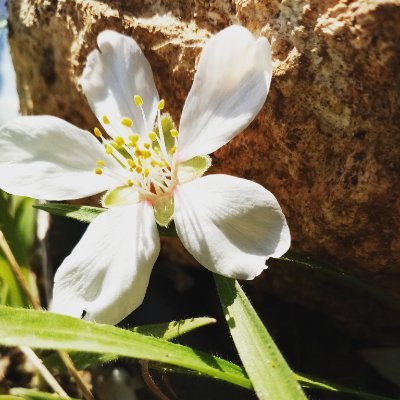 Raghdatq's profile picture. Creater and artists