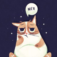 ♡♡♡ (@elgatodelmeh) 's Twitter Profile