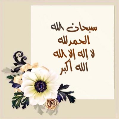 hallla04's profile picture. معلمة لغة عربية