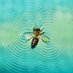 CryptoWaves.hive (@cryptowavesavax) Twitter profile photo CryptoWaves.hive (@cryptowavesavax) Twitter profile photo