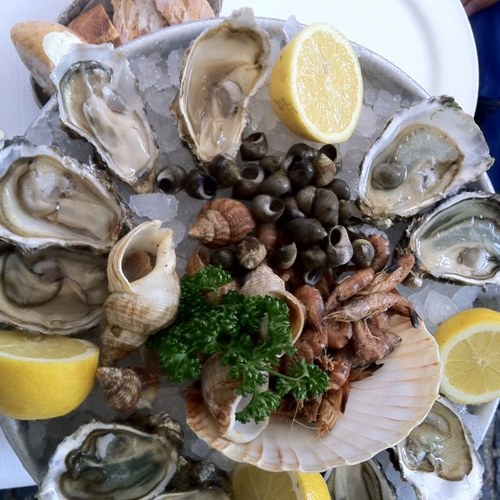 eyeziyu's profile picture. 