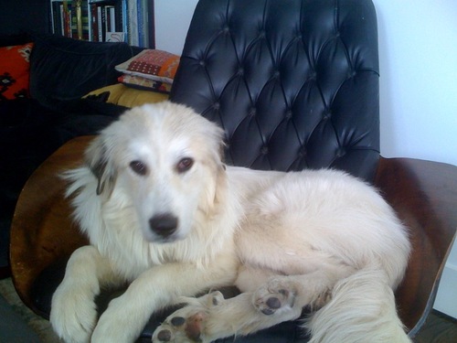 MRUIZPR's profile picture. 