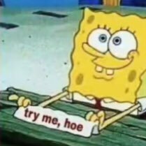 Ashlyn_Not_okay's profile picture. ✨”I like turtles 🐢”✨