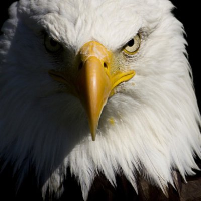 tumelo_nyaphuli's profile picture. ###########___GOD____

......