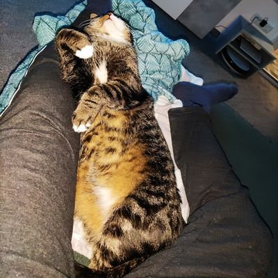 160Magic's profile picture.