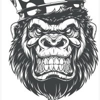 Grillo (@grillo1010) 's Twitter Profile